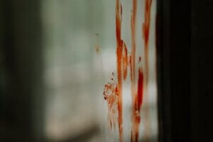 Enhypen 5th Mini Album 'Orange Blood': What to Anticipate pexels photo 5427764